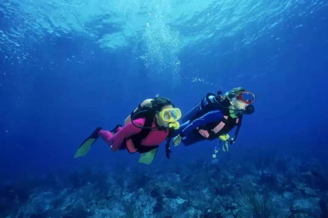 总局收视率：《翻译官》第七，《奔跑》第二，第一属实太牛